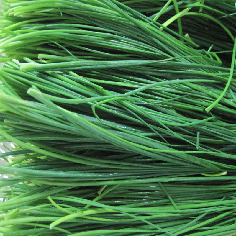 Green onion