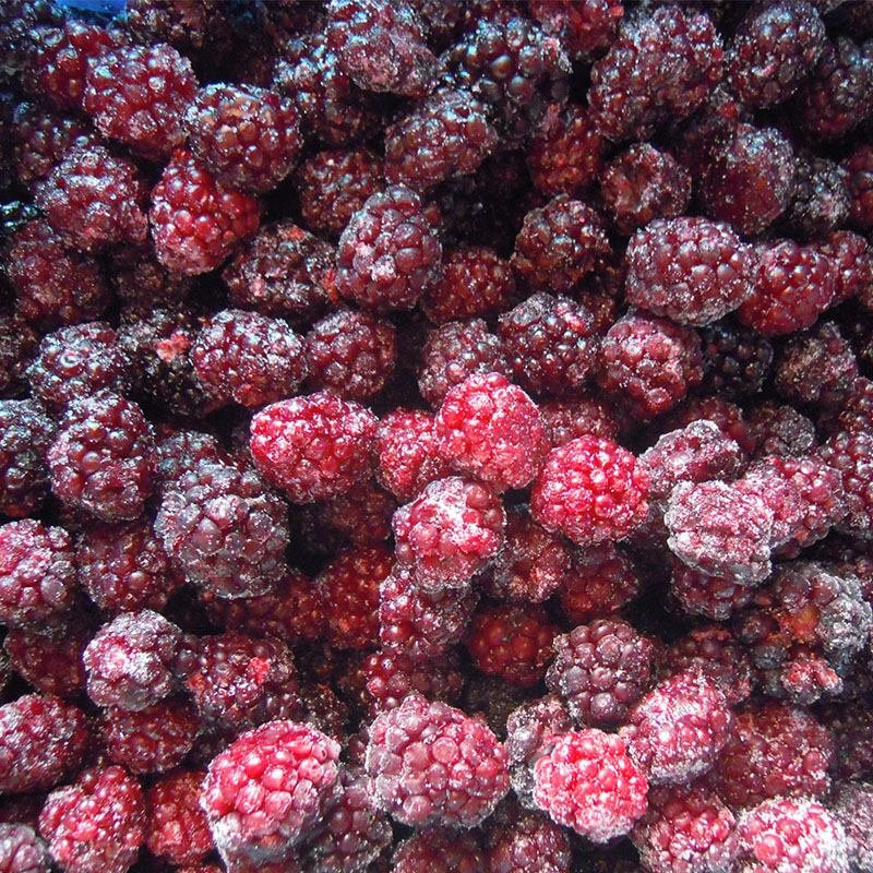 Blackberry