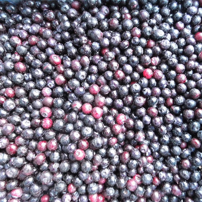 Blueberry