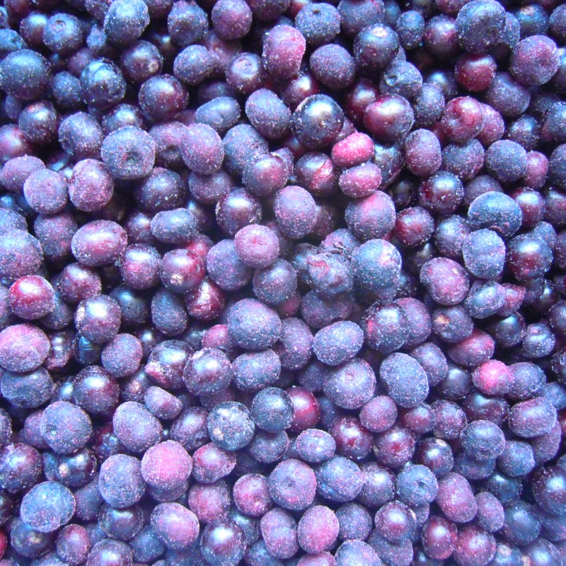 Blackcurrant