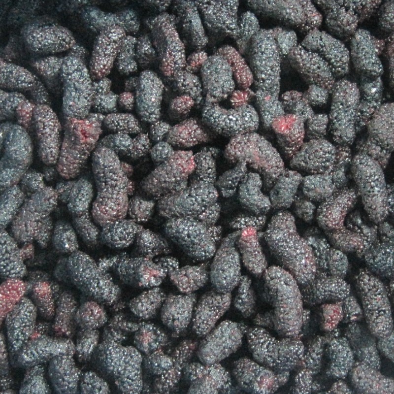 Mulberry