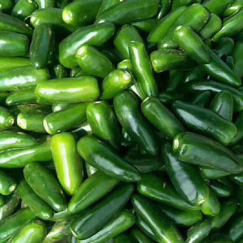 Jalapenos Pepper