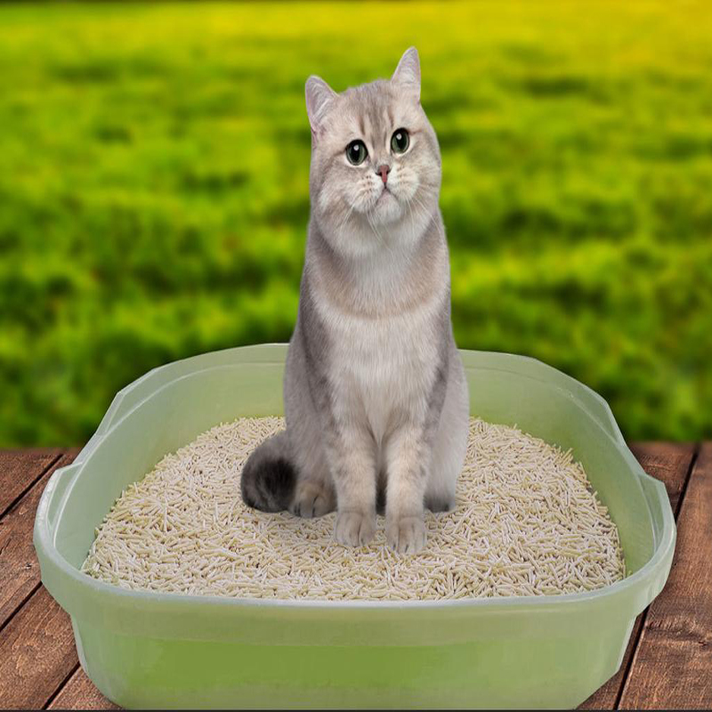 Cylinder Tofu Cat Litter