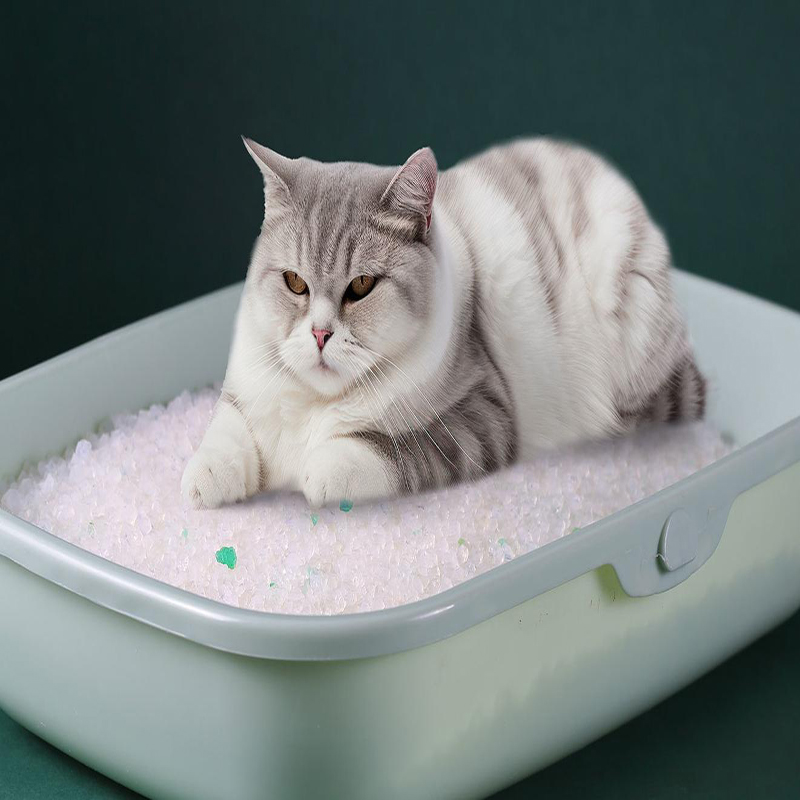 Crystal Cat Litter